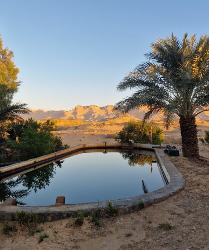 West Desert, Labakha